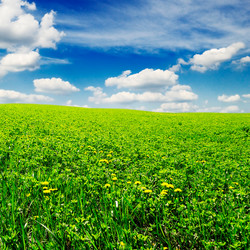 Similar image 1097007