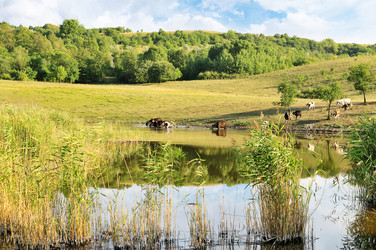 Similar image 1097008