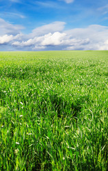 Similar image 1097009