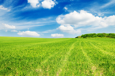 Similar image 1097011