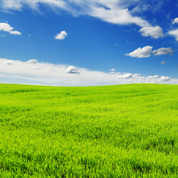 Similar image 1097019