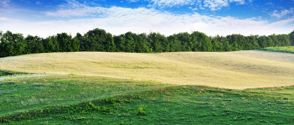 Similar image 1097023