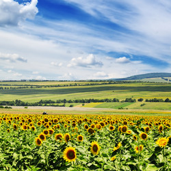 Similar image 1097024