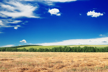 Similar image 1097047