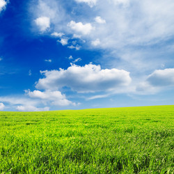 Similar image 1097054