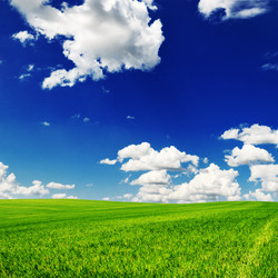 Similar image 1097056