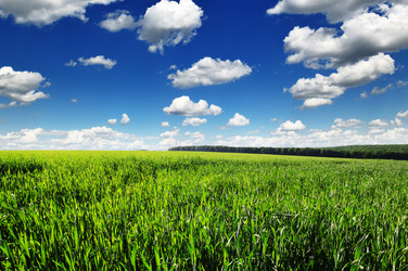 Similar image 1097057