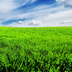 Similar image 1097060