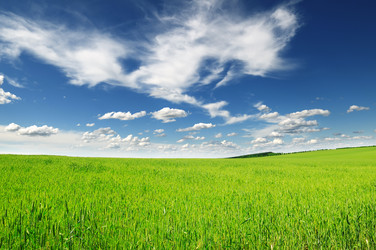 Similar image 1097063