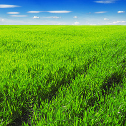 Similar image 1097068