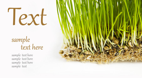 Similar image 1097207