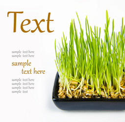 Similar image 1097208