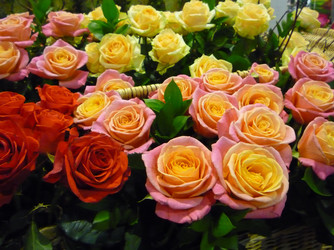 Similar image 1097234