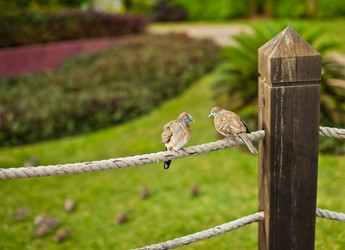 Similar image 1097237