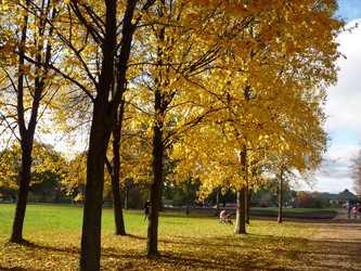 Similar image 1097238