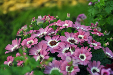 Similar image 1097248