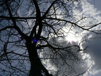 Similar image 1097258