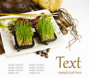 Similar image 1097282