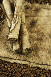 Similar image 1097283