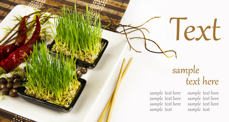 Similar image 1097344