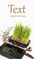 Similar image 1097351