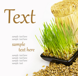 Similar image 1097422