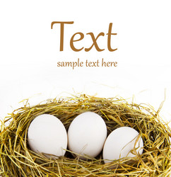 Similar image 1097493