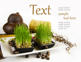 Similar image 1097498