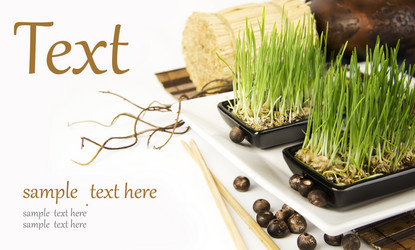 Similar image 1097505