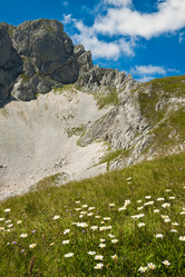 Similar image 1097575