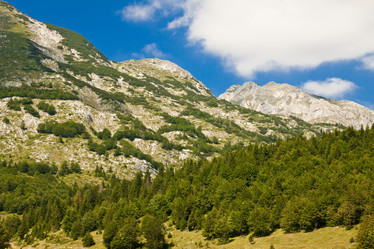 Similar image 1097577