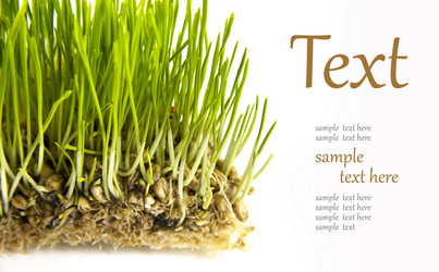 Similar image 1097763