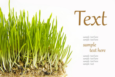 Similar image 1097779