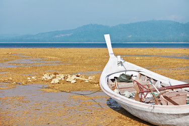 Similar image 1098010