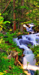 Similar image 1098068