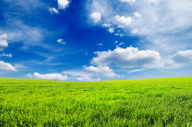 Similar image 1098164