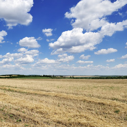 Similar image 1098165