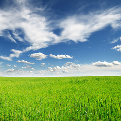 Similar image 1098169