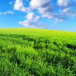 Similar image 1098174