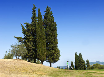 Similar image 1098200