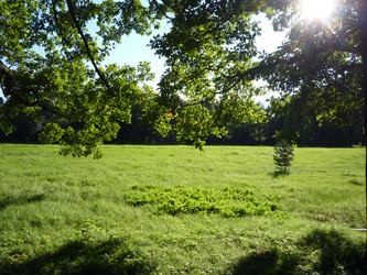 Similar image 1098279