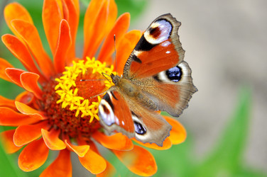 Similar image 1098302