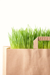 Similar image 1098350