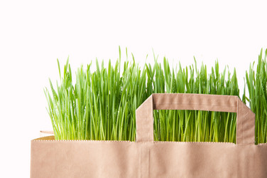 Similar image 1098351