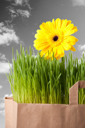 Similar image 1098354