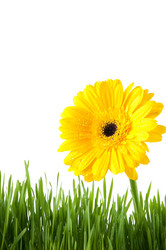 Similar image 1098356