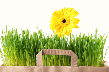 Similar image 1098362