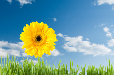 Similar image 1098364