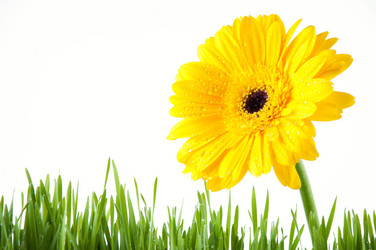 Similar image 1098373