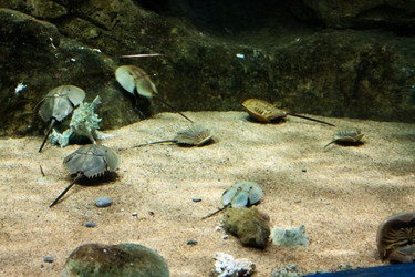 Similar image 1098376